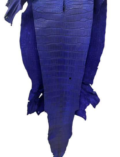37 cm Grade 3/4 Cobalt Blue Matte Wild American Alligator Leather - Tag: LA23-0050078