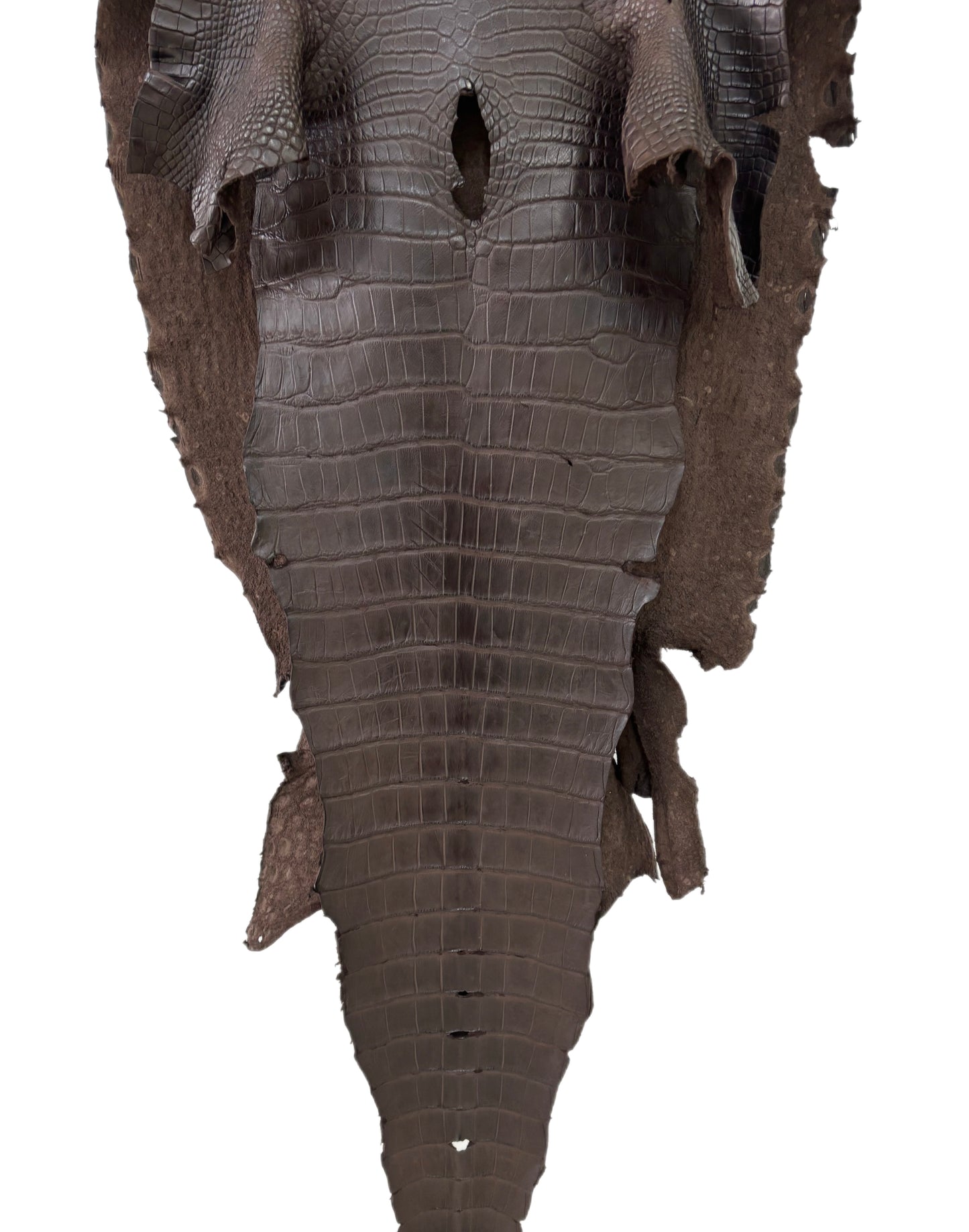 52 cm Grade 4/5 Dark Chocolate Matte Wild American Alligator Leather - Tag: LA23-0049423