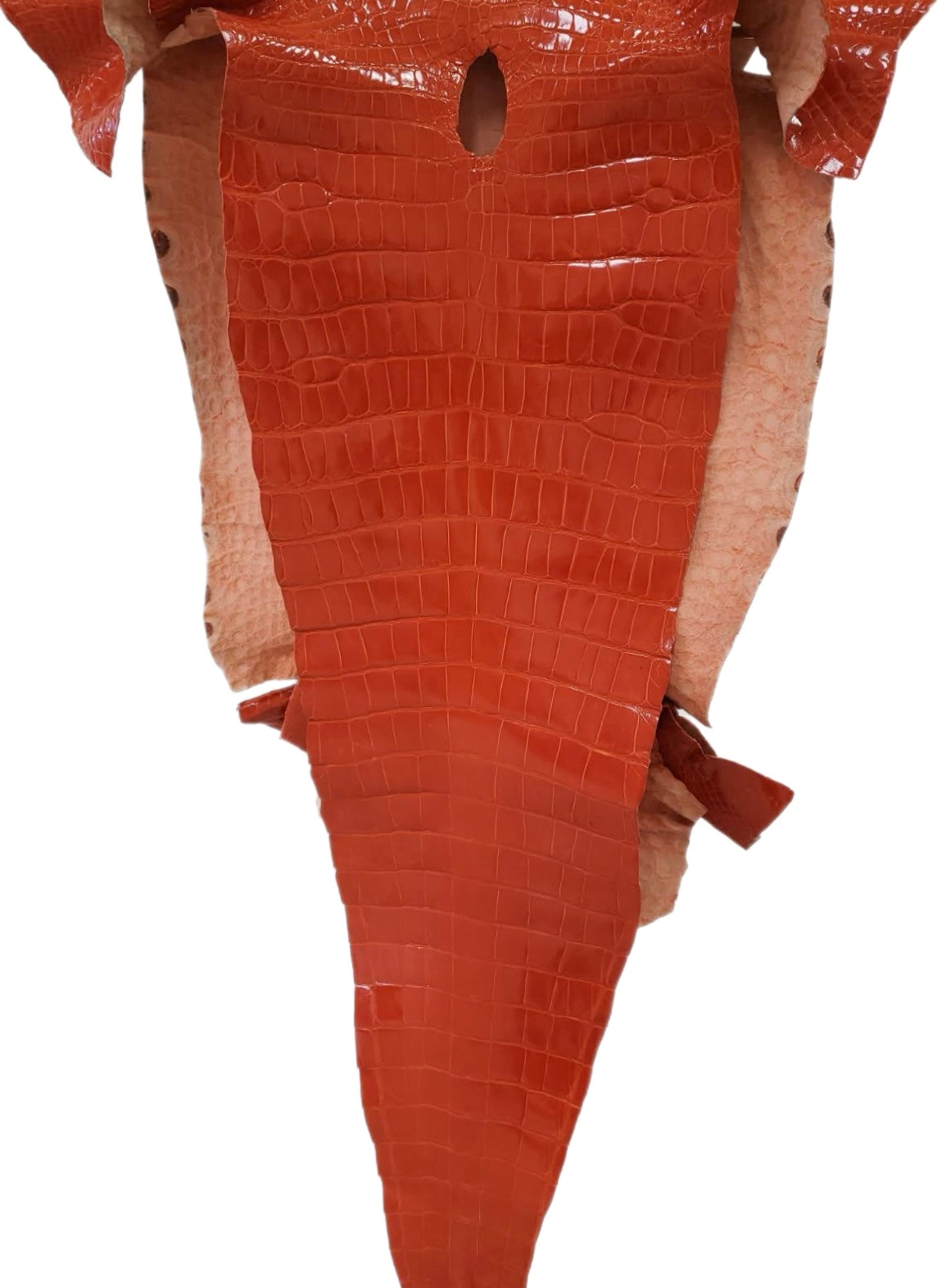 43 cm Grade 2/3 Mandarina Glazed Farm-Raised American Alligator Leather - Tag: GA14-0021450