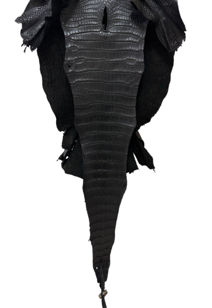 36 cm Grade 3/4 Black Matte Wild American Alligator Leather - Tag: LA16-0037790