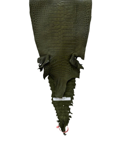 27 cm Grade 2/3 Olive Matte Farm-Raised American Alligator Leather - Tag: FL21-0024470