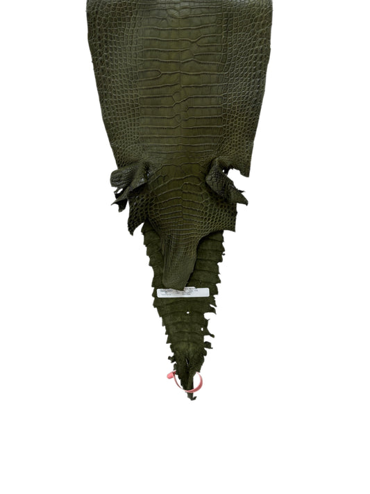 27 cm Grade 2/3 Olive Matte Farm-Raised American Alligator Leather - Tag: FL21-0024470