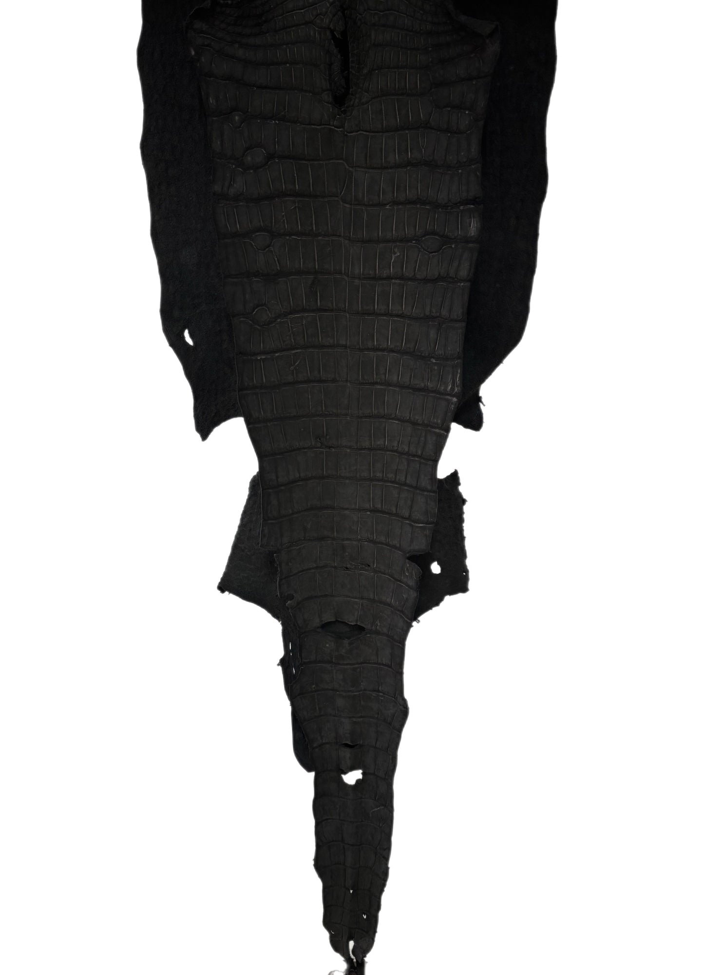 36 cm Grade 2/3 Black Nubuck Wild American Alligator Leather - Tag: LA23-0001295