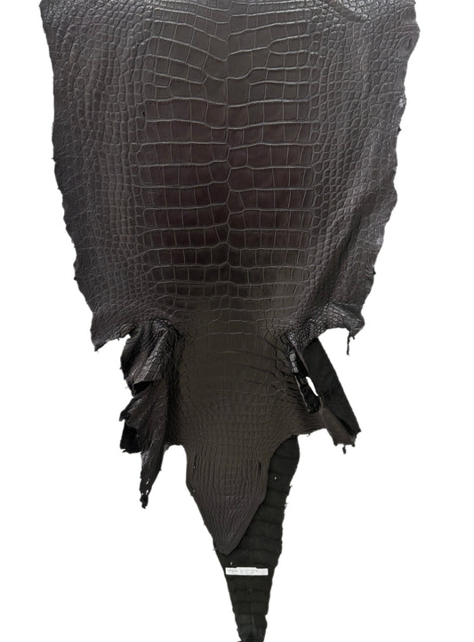 57 cm Grade 2/3 Black Matte Wild American Alligator Leather - Tag: LA23-0030701