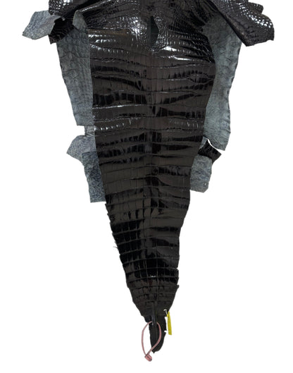 35 cm Grade 2/3 Black Glazed Wild American Alligator Leather - Tag: FL14-0003678