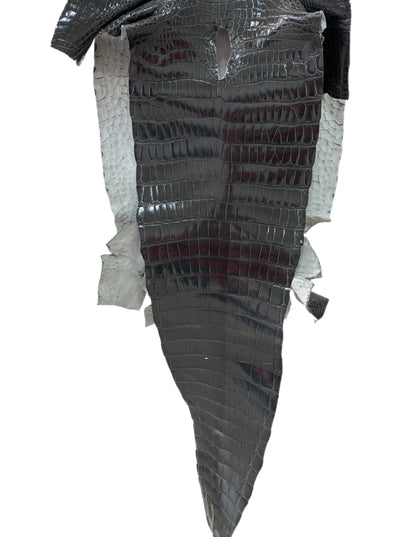37 cm Grade 2/3 Grey Glazed Farm-Raised American Alligator Leather - Tag: GA14-0021583