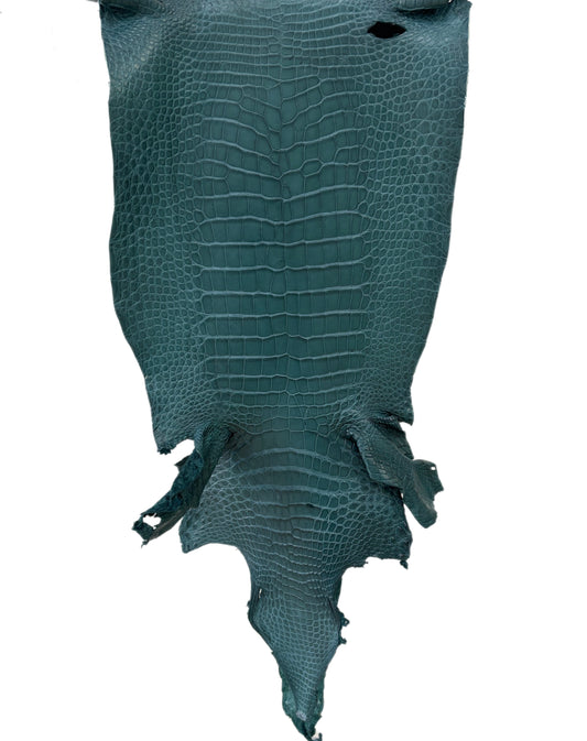 35 cm Grade 2/3 Teal Matte Wild American Alligator Leather - Tag: LA23-0049963