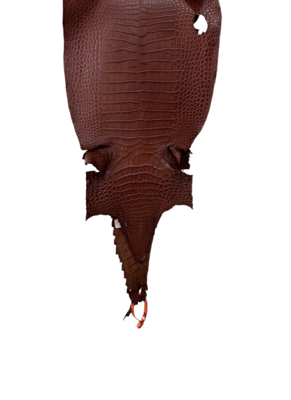 25 cm Grade 2/3 Italian Gold Matte Farm-Raised American Alligator Leather - Tag: FL21-0025067