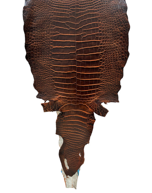 30 cm Grade 1/2 Sienna Matte Wild American Alligator Leather - Tag: ESRE-0050746
