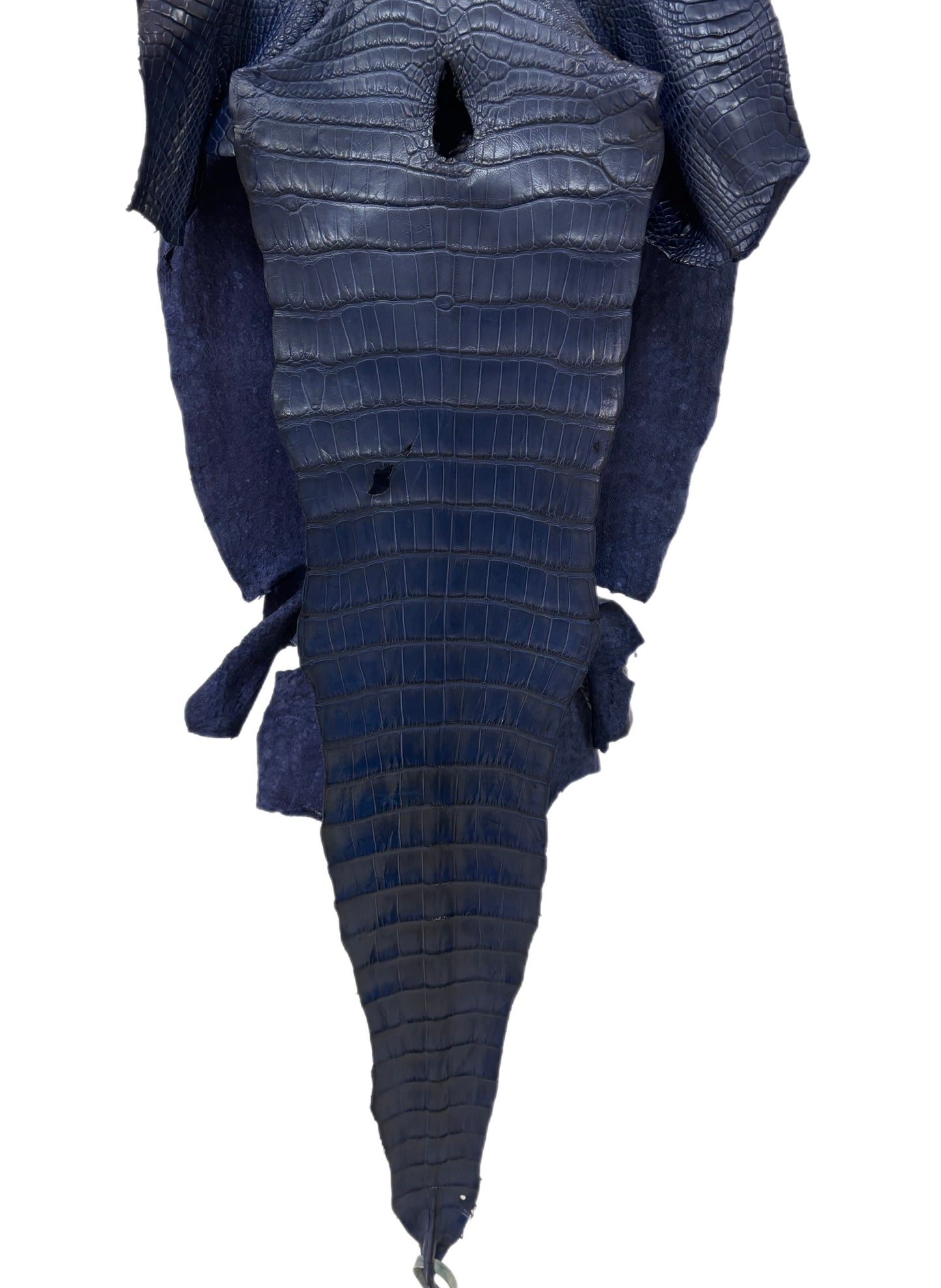 36 cm Grade 1/2 Navy Blue Desert Wild American Alligator Leather - Tag: LA16-0031162
