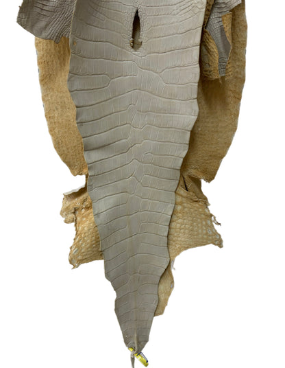49 cm Grade 2/3 Dune Matte Wild American Alligator Leather - Tag: LA25-0013590