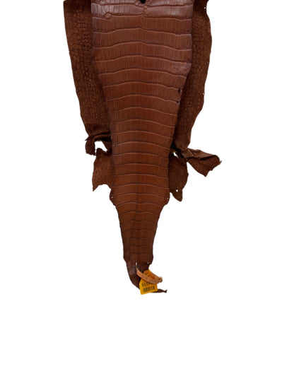 24 cm Grade 1/2 Rustic Cognac Matte Farm-Raised American Alligator Leather - Tag: LA08-0230204