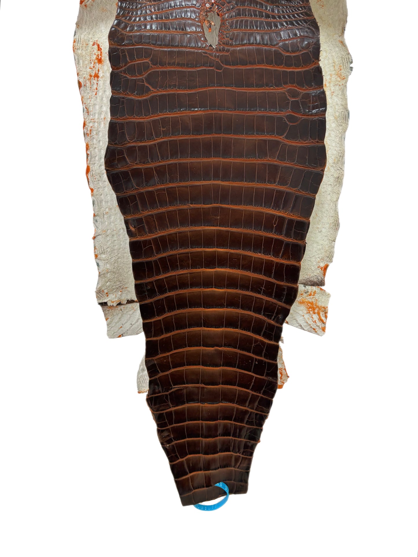 33 cm Grade 1/2 Sienna Matte Wild American Alligator Leather - Tag: ESRE-0033711