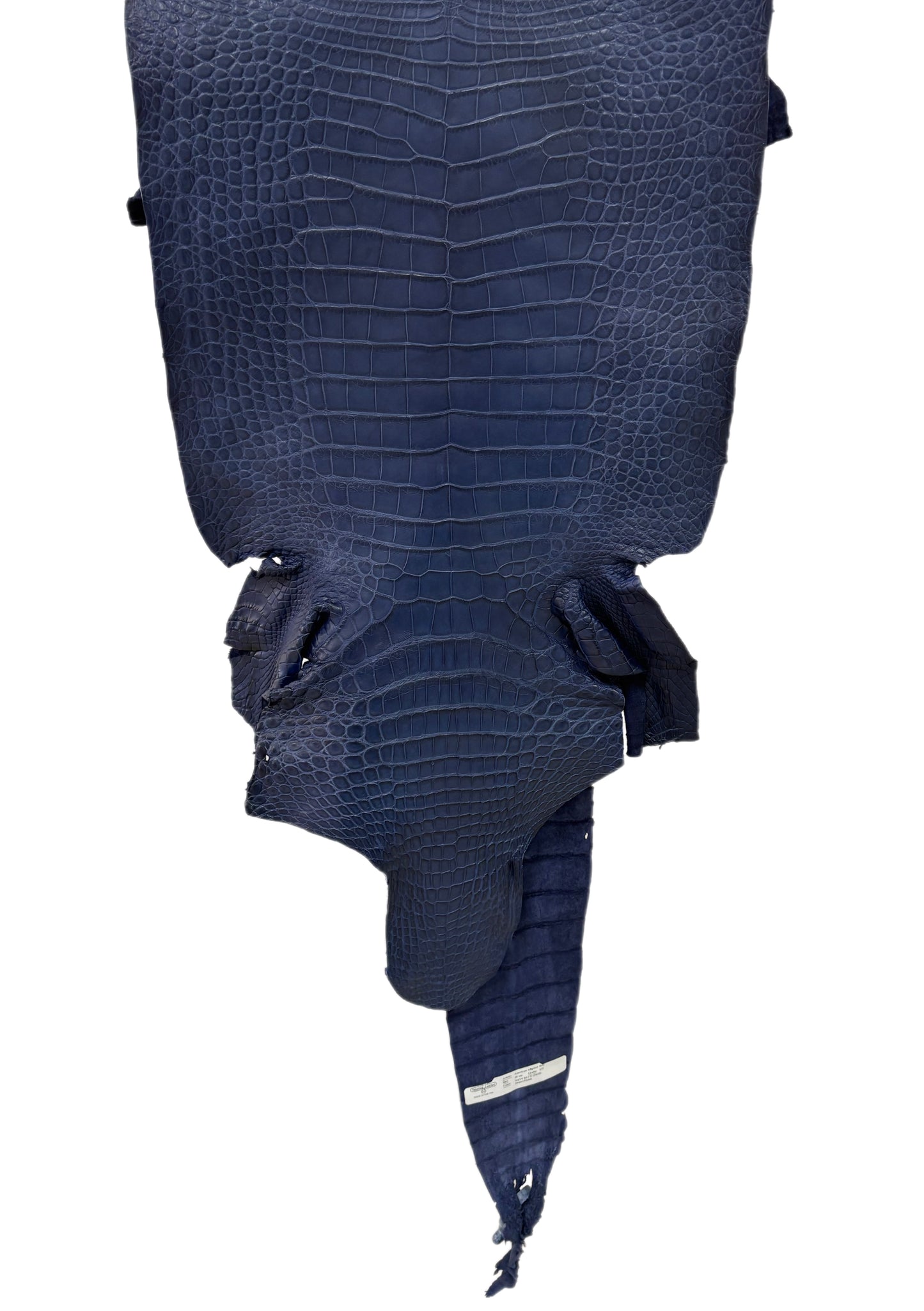 40 cm Grade 1/2 Navy Blue Desert Wild American Alligator Leather - Tag: FL17-0000677
