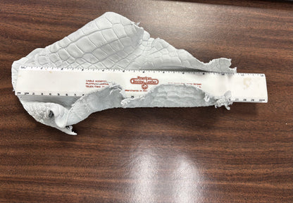 Genuine Crust Alligator Leather Scraps per Pound