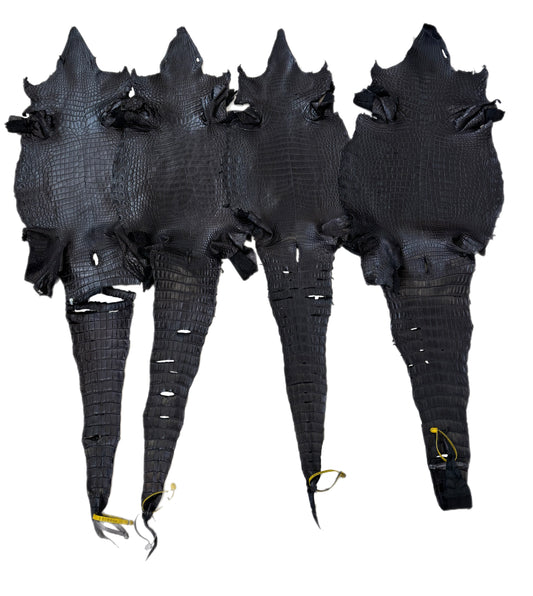 Oops Skins | 28-46 Cm Mixed Grades Black Matte Nile Crocodile with Good Bellies/Bad Tails