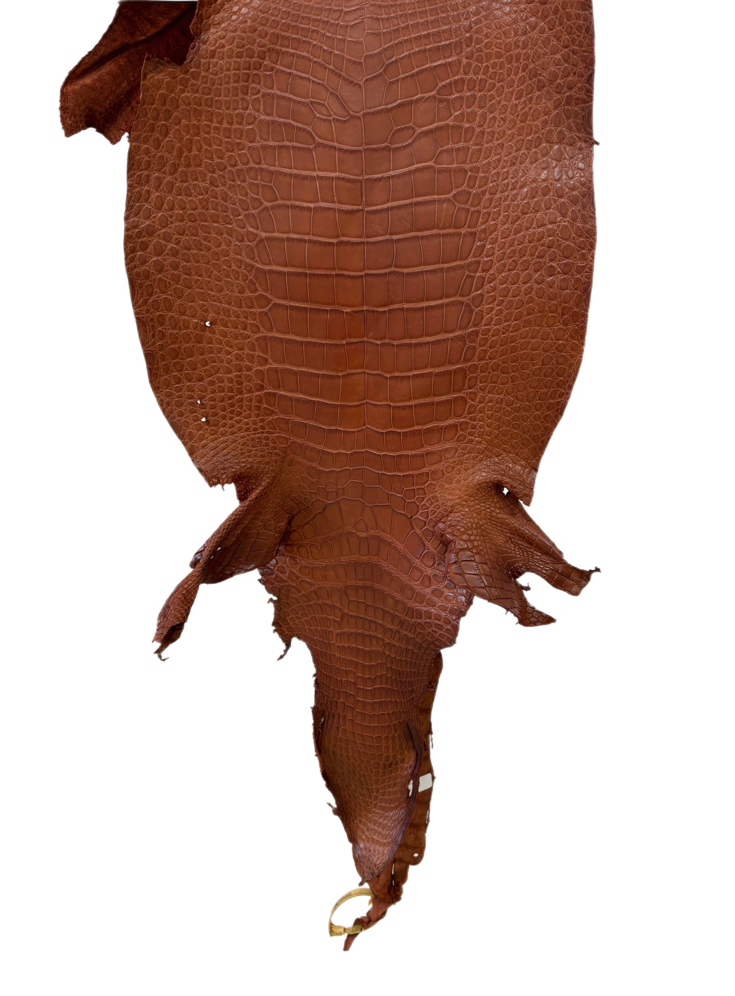 37 cm Grade 3/4 Cognac Matte Wild American Alligator Leather - Tag: LA23-0019804