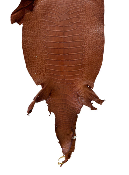 37 cm Grade 3/4 Cognac Matte Wild American Alligator Leather - Tag: LA23-0019804