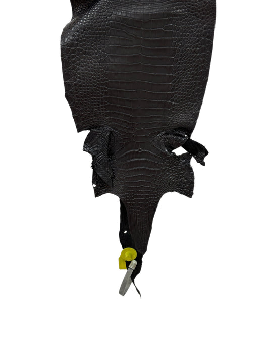 20 cm Grade 1/2 Black Matte Wild American Alligator Leather - Tag: LA08-0216323