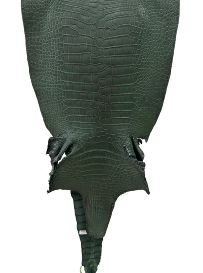 42 cm Grade 2/3 Forest Green Matte Wild American Alligator Leather - Tag: LA23-0022821
