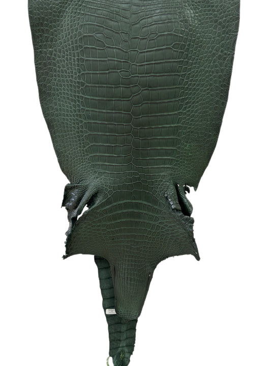 42 cm Grade 2/3 Forest Green Matte Wild American Alligator Leather - Tag: LA23-0022821