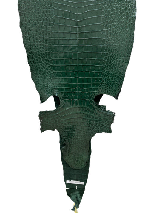 44 cm Grade 1/2 Forest Green Millennium Wild American Alligator Leather - Tag: LA16-0036596