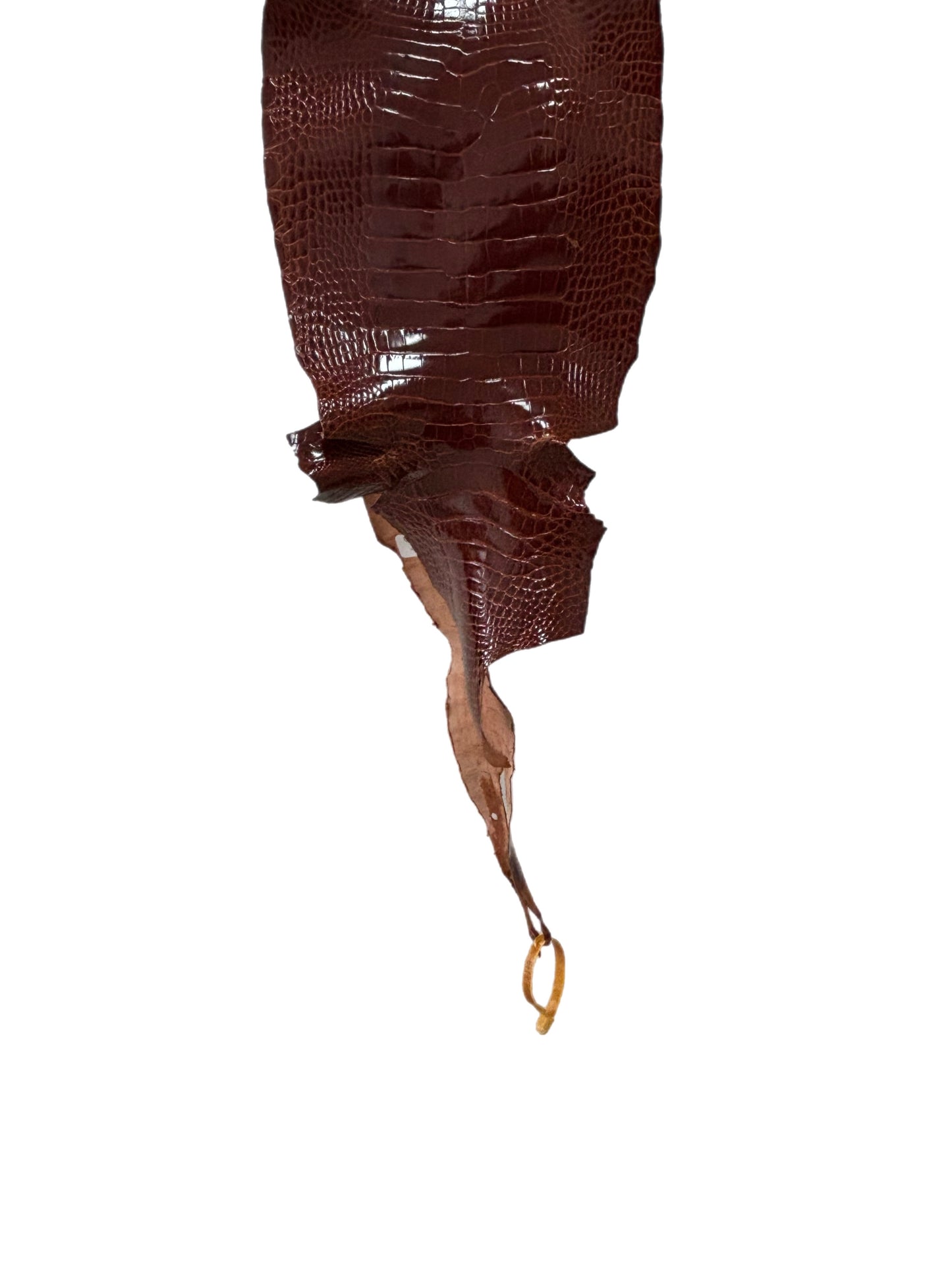 23 cm Grade 2/3 Peanut Glazed Farm-Raised American Alligator Leather - Tag: LA17-0133558