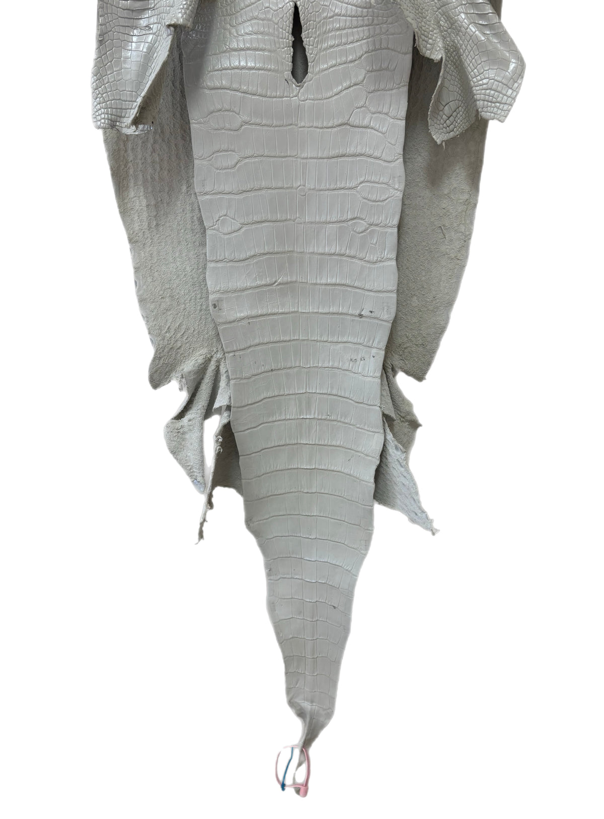 42 cm Grade 1/2 White Pearl Matte Wild American Alligator Leather - Tag: LA18-0038542