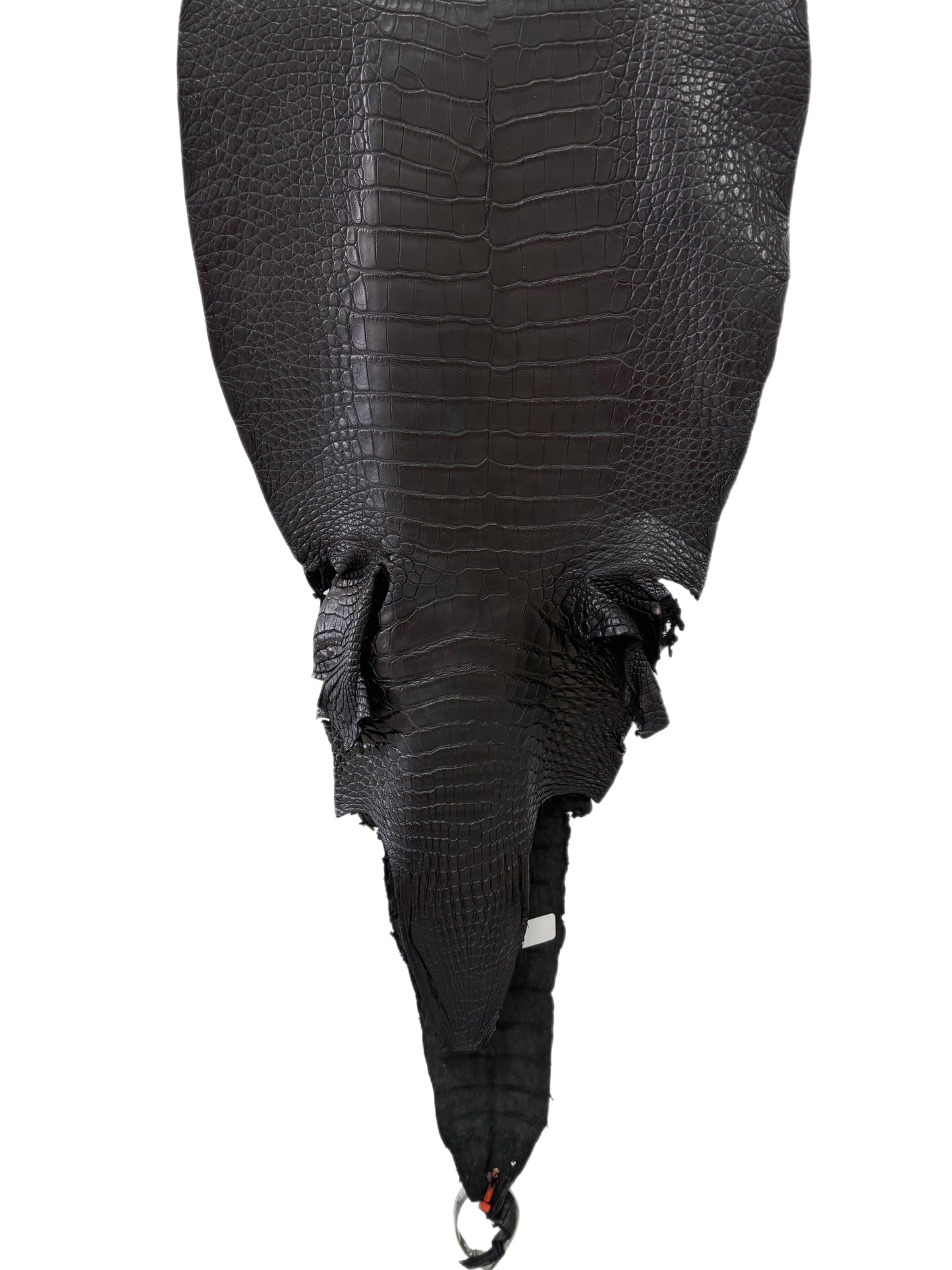 31 cm Grade 2/3 Black Matte Farm-Raised American Alligator Leather - Tag: LA23-0531340
