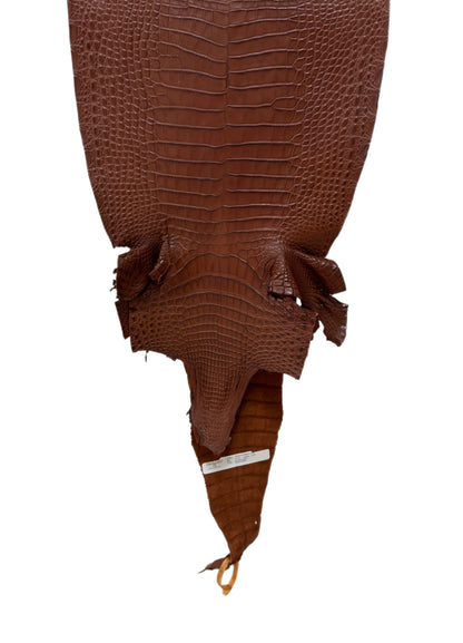 33 cm Grade 2/3 Rodeo Matte Farm-Raised American Alligator Leather - Tag: FL17-0036098
