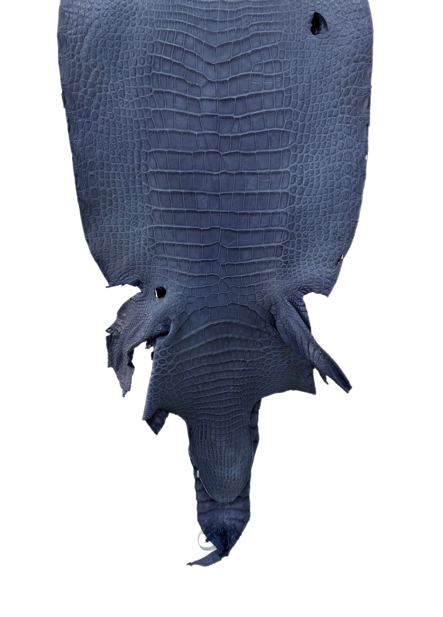 39 cm Grade 3/4 Indigo Matte Wild American Alligator Leather - Tag: LA23-0006900