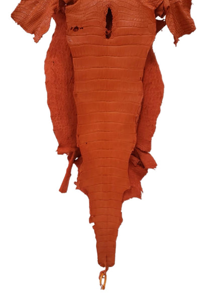 40 cm Grade 3/4 Orange Matte Wild American Alligator Leather - Tag: LA23-0019522
