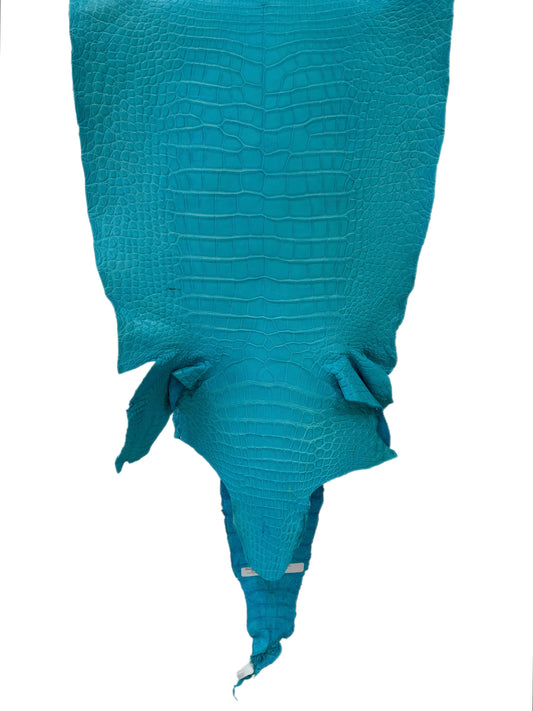 43 cm Grade 3/4 Turquoise Matte Wild American Alligator Leather - Tag: LA23-0005526