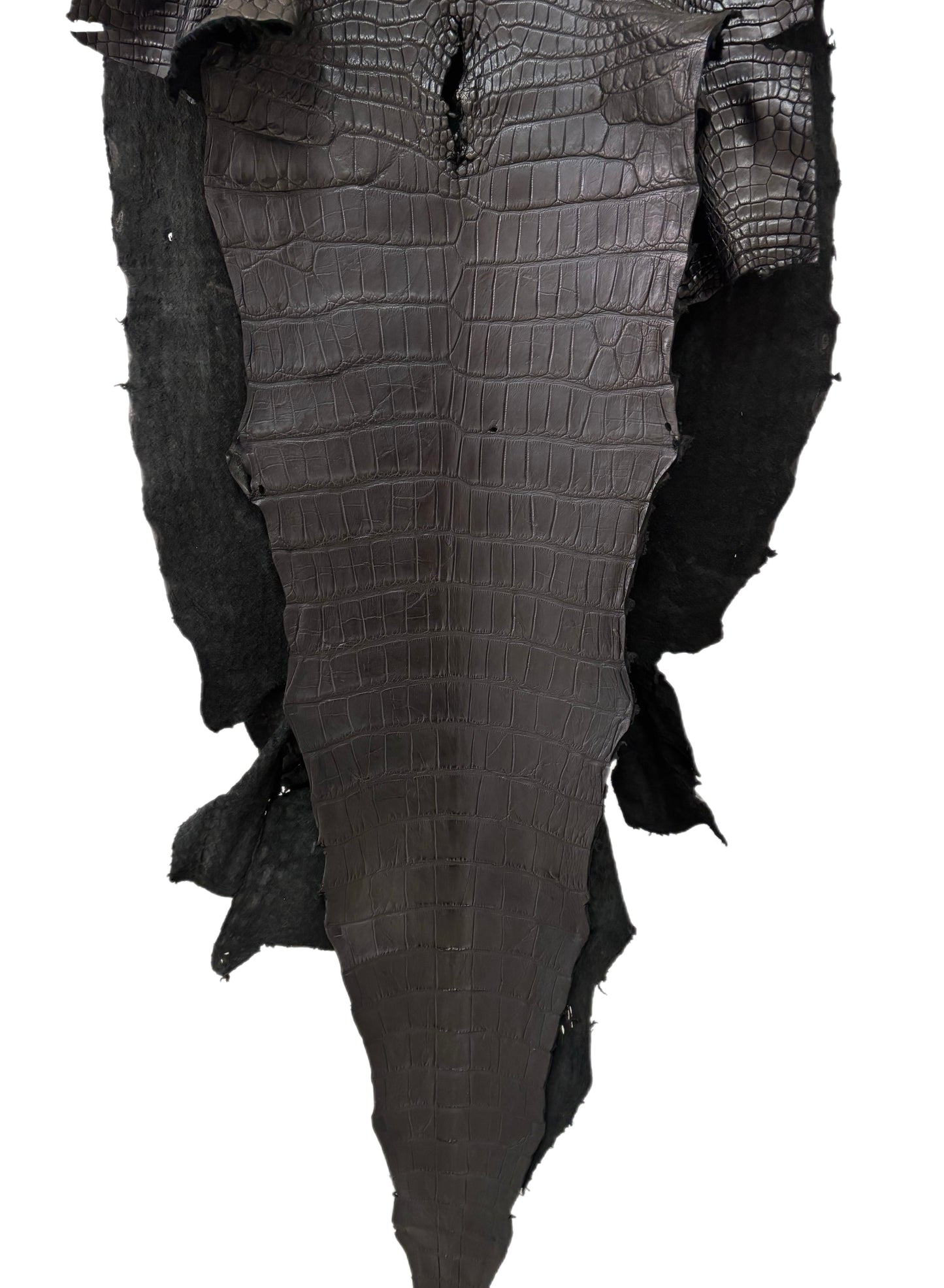 58 cm Grade 3/4 Black Matte Wild American Alligator Leather - Tag: LA23-0003134