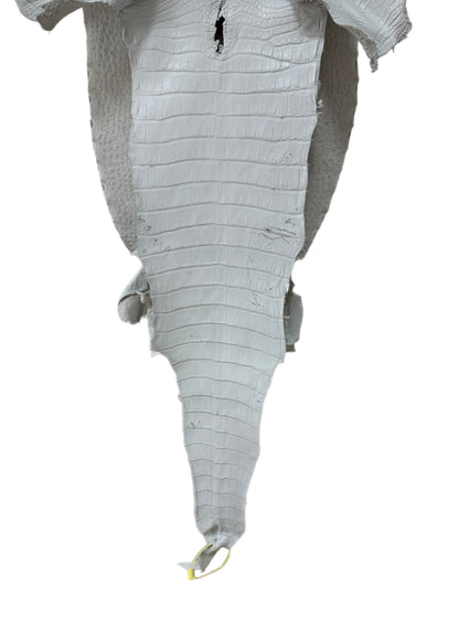 37 cm Grade 2/3 White Matte Farm-Raised American Alligator Leather - Tag: LA25-0316271