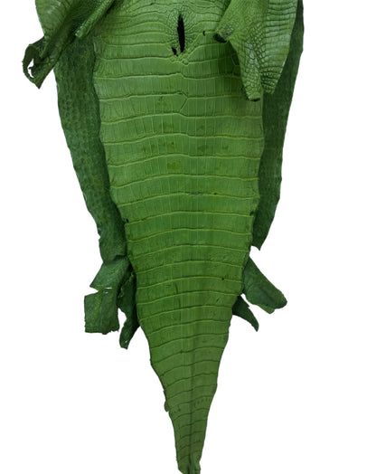 39 cm Grade 3/4 Jungle Green Matte Wild American Alligator Leather - Tag: LA23-0050721