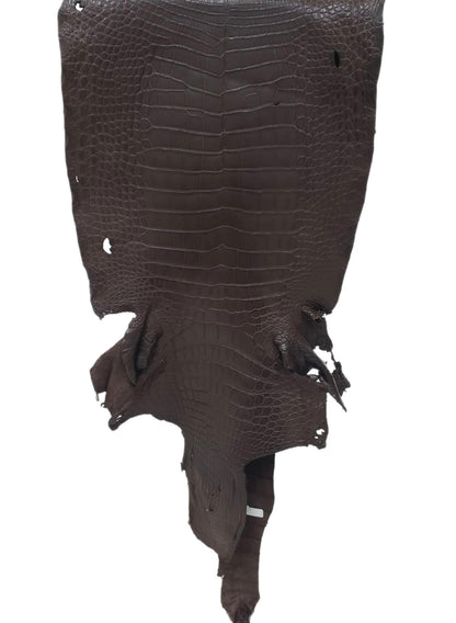 44 cm Grade 3/4 Chocolate Matte Wild American Alligator Leather - Tag: LA23-0022843