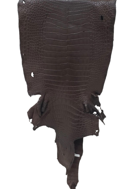 44 cm Grade 3/4 Chocolate Matte Wild American Alligator Leather - Tag: LA23-0022843