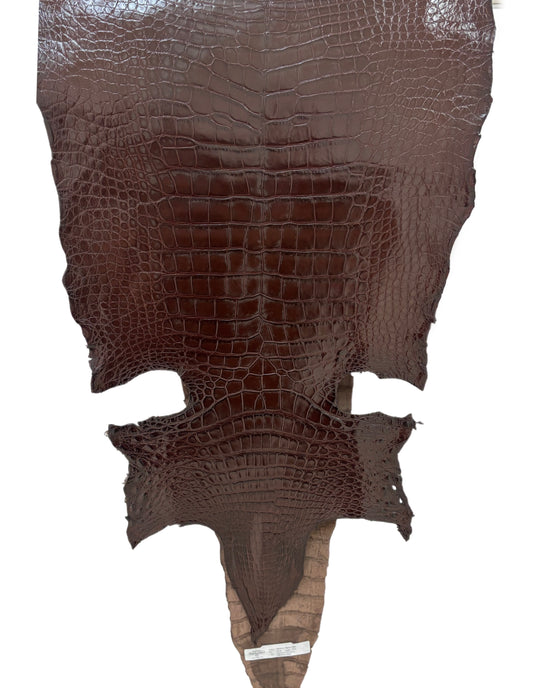 46 cm Grade 4/5 Chocolate Millennium Wild American Alligator Leather - Tag: LA22-0038312