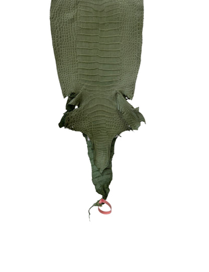 New Color! 23 cm Grade 1/2 Sage Green Matte Farm-Raised American Alligator Leather - Tag: LA24-0228887