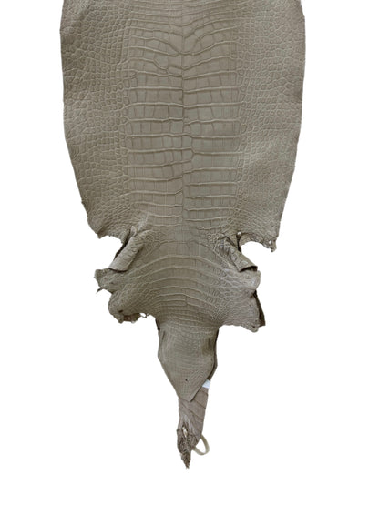 36 cm Grade 2/3 Stormy Matte Wild American Alligator Leather - Tag: LA23-0015405