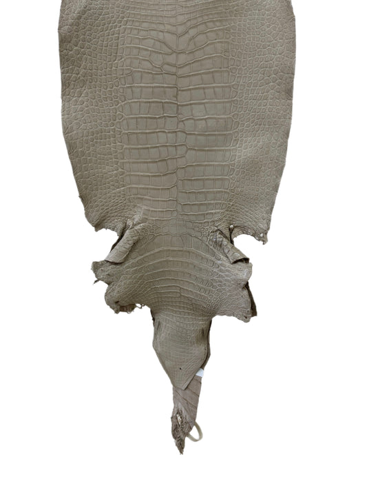 36 cm Grade 2/3 Stormy Matte Wild American Alligator Leather - Tag: LA23-0015405