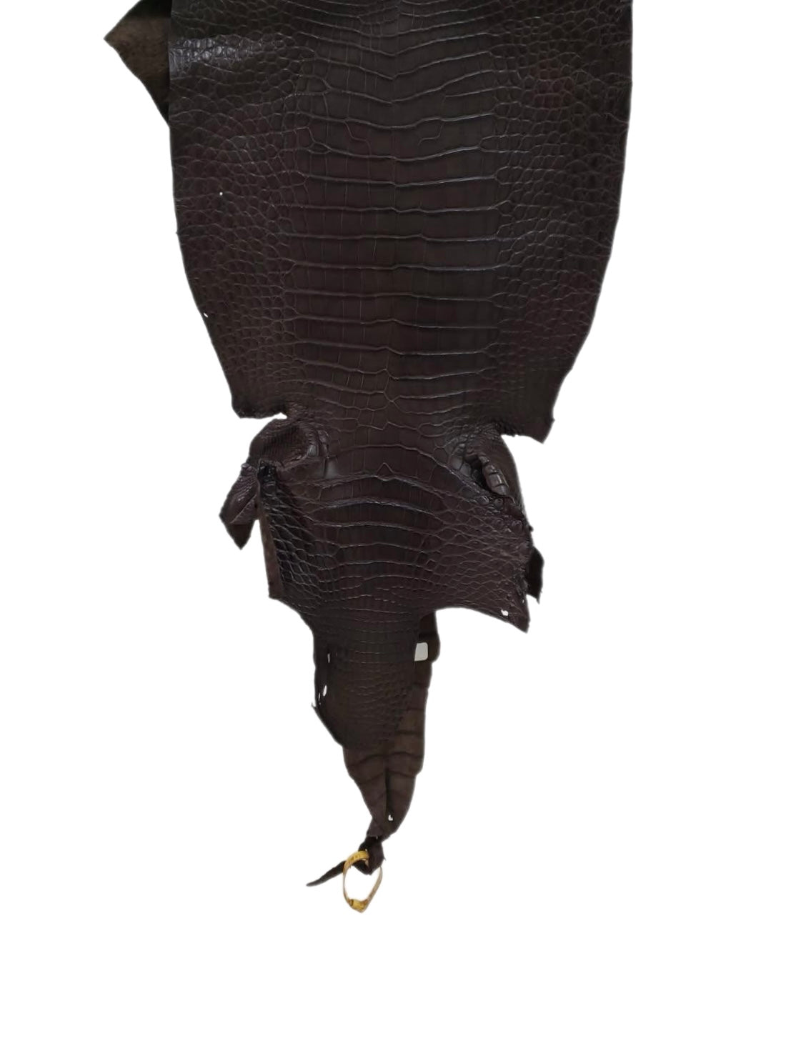 35 cm Grade 3/4 Kralle Brown Matte Wild American Alligator Leather - Tag: LA23-0050734