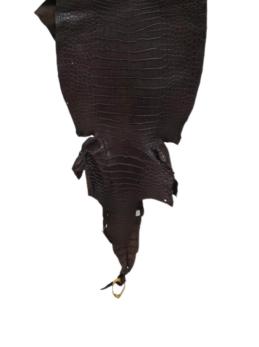 35 cm Grade 3/4 Kralle Brown Matte Wild American Alligator Leather - Tag: LA23-0050734