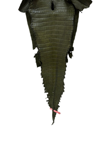 27 cm Grade 2/3 Olive Matte Farm-Raised American Alligator Leather - Tag: FL21-0024470