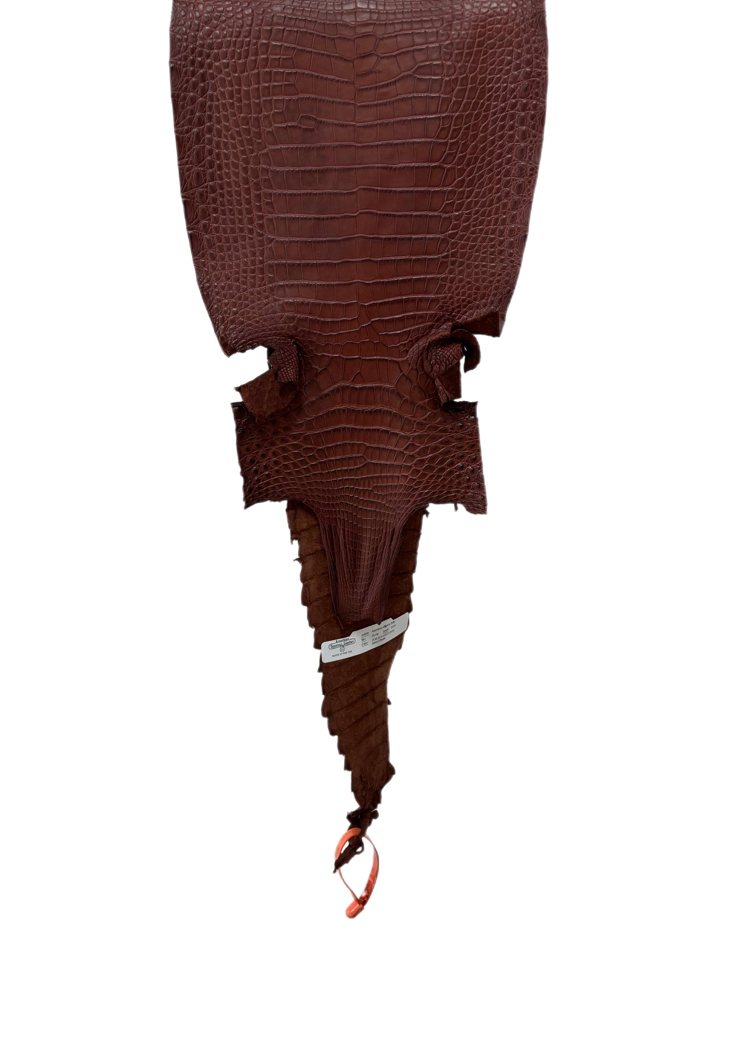 24 cm Grade 3/4 Italian Gold Matte Farm-Raised American Alligator Leather - Tag: FL21-0025094