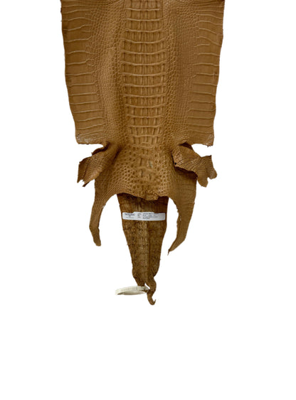 30 cm Grade 1/2 Antique Saddle Matte Farm-Raised American Alligator Hornback Leather - Tag: LA23-0377021
