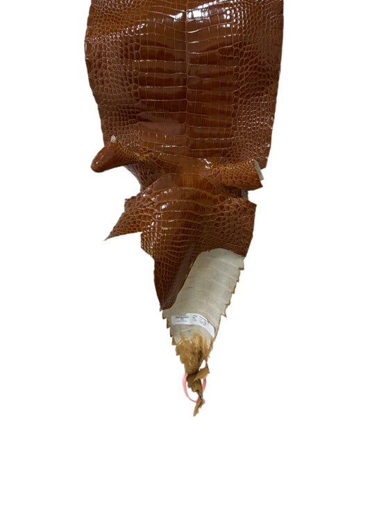 24 cm Grade 1/2 Cognac Glazed Farm-Raised American Alligator Leather - Tag: FL21-0024407