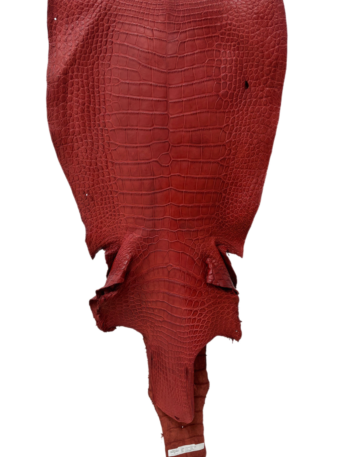 50 cm Grade 4/5 Marziale Matte Wild American Alligator Leather - Tag: LA23-0023041