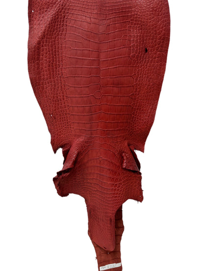 50 cm Grade 4/5 Marziale Matte Wild American Alligator Leather - Tag: LA23-0023041